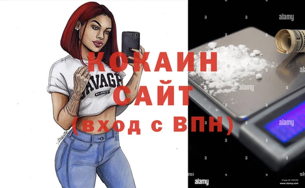 твердый Мегион