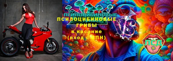 твердый Мегион