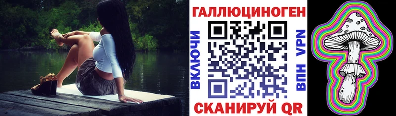 Псилоцибиновые грибы MAGIC MUSHROOMS  закладка  Кашин 